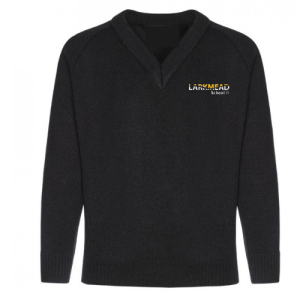 LM V/Neck Jumper